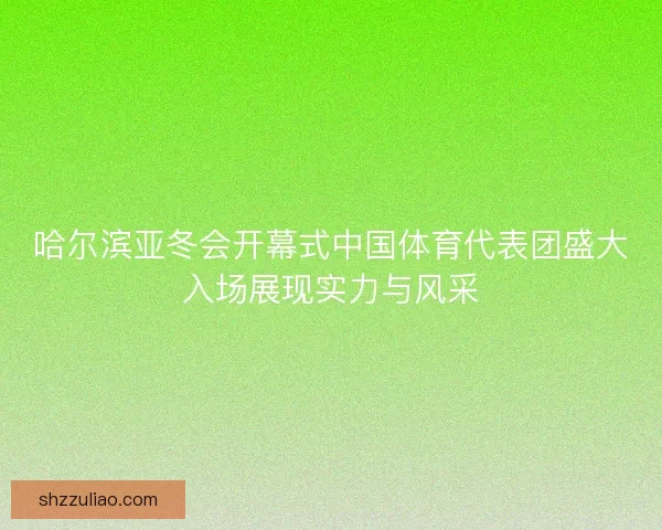 哈尔滨亚冬会开幕式中国体育代表团盛大入场展现实力与风采 哈尔滨亚冬会开幕式中国体育代表团盛大入场展现实力与风采