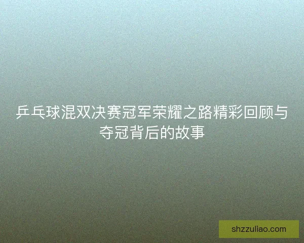 乒乓球混双决赛冠军荣耀之路精彩回顾与夺冠背后的故事