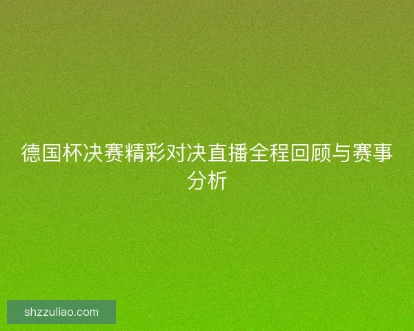 德国杯决赛精彩对决直播全程回顾与赛事分析 德国杯决赛精彩对决直播全程回顾与赛事分析