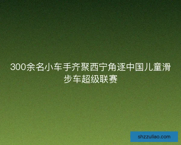 300余名小车手齐聚西宁角逐中国儿童滑步车超级联赛 300余名小车手齐聚西宁角逐中国儿童滑步车超级联赛