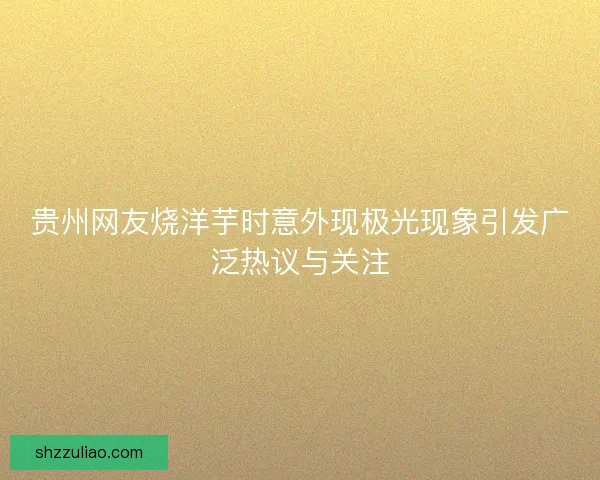 贵州网友烧洋芋时意外现极光现象引发广泛热议与关注
